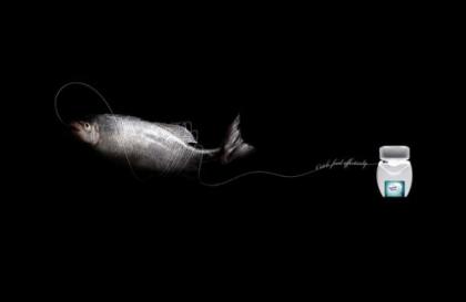 Dental Clean | Fish