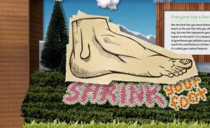 Shrinkyourfoot.org: Footprint