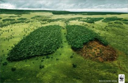 WWF Lungs